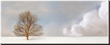 Alone in the Whiteness Stretched Canvas Print by Carlos Casamayor