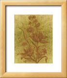 Amalia Tulips Framed Giclee Print by Mali Nave