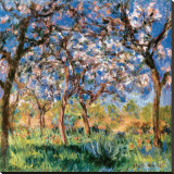 Spring in Giverny Lærredstryk på blindramme af Claude Monet