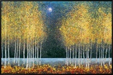 Blue Moon Framed Canvas Print by Melissa Graves-Brown