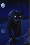 Panthère noir au clair de lune Reproduction transférée sur toile :