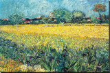 Vue d'Arles aux iris Reproduction transférée sur toile : par Vincent van Gogh