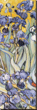 Irises  Leinwand von Vincent van Gogh