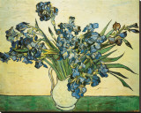 Vase of Irises, c.1890 Stretched Canvas Print by Vincent van Gogh