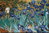 Irises, Saint-Remy, c.1889 Stretched Canvas Print by Vincent van Gogh