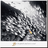 Stand Out Reproducción en lienzo de la lámina