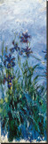 Iris Mauve (detail) Stretched Canvas Print by Claude Monet