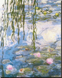 Water Lilies Stretched Canvas Print by Claude Monet Water Lilies Stretched Canvas Print by Claude Monet