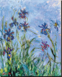 Irises (detail) Stretched Canvas Print by Claude Monet