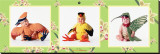 Baby Birds Reproduction transférée sur toile : par Tom Arma
