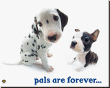 Pals Are Forever Stretched Canvas Print by Yoneo Morita