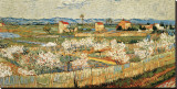 Blühender Pfirsichbaum (Arles), 1888 Leinwand von Vincent van Gogh