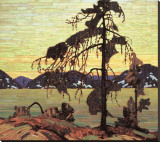 The Jack Pine Lærredstryk på blindramme af Tom Thomson
