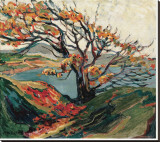 Tree in Autumn Stretched Canvas Print by Emily Carr