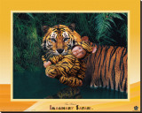 Tiger Reproducción en lienzo de la lámina por Tom Arma Tiger Reproducción en lienzo de la lámina por Tom Arma