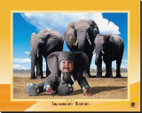Eléphant Reproduction transférée sur toile : par Tom Arma