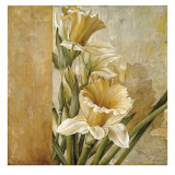 Champagne Daffodils II Posters by Linda Thompson