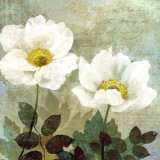 Anemone II Prints by Keith Mallett