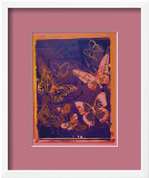 Vanishing Animals: Butterflies, c.1986 (Peach on Navy) Indrammet giclee-tryk af Andy Warhol Vanishing Animals: Butterflies, c.1986 (Peach on Navy) Indrammet giclee-tryk af Andy Warhol