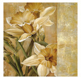 Champagne Daffodils I Art by Linda Thompson