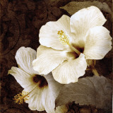 Verdant Blooms Affiches par Keith Mallett
