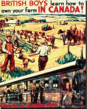 British Boys, Learn How to Own Your Farm in Canada! Reproducción en lienzo de la lámina