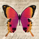 Papillons III Affiche par Tandi Venter