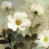 Anemone I Prints by Keith Mallett