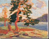 The Pine Tree Stretched Canvas Print by Tom Thomson