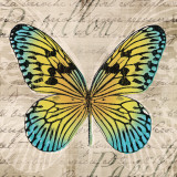 Mariposas I Póster por Tandi Venter