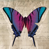 Mariposas IV Láminas por Tandi Venter