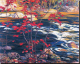 The Red Maple Leinwand von A. Y. Jackson
