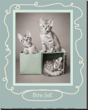 Gatitos en una caja Reproducción en lienzo de la lámina por Rachael Hale