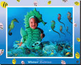 Water Babies, Seahorse Reproduction transférée sur toile : par Tom Arma