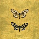 Pair of Butterflies on Gold Kunstdrucke von Joanna Charlotte