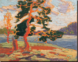 The Pine Tree Płótno naciągnięte na blejtram - reprodukcja autor Tom Thomson The Pine Tree Płótno naciągnięte na blejtram - reprodukcja autor Tom Thomson