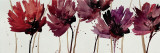 Blushing Blooms Prints by Natasha Barnes