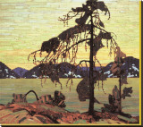 The Jack Pine Stretched Canvas Print by Tom Thomson