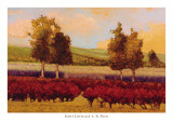 St. Pierre Prints by Kent Lovelace