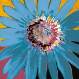 Sunshine Flower II Prints by Leslie Bernsen