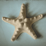 Etude de coquillage III Posters par Heather Jacks