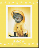 Chat de pluie Reproduction transférée sur toile : par Rachael Hale