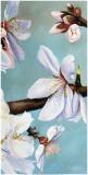 Almond Panel II Pósters por Donna Wayman Almond Panel II Pósters por Donna Wayman