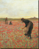 Girls in Poppy Field Reproducción en lienzo de la lámina por Lawren Morris