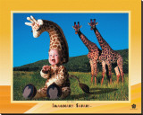 Girafe Reproduction transférée sur toile : par Tom Arma