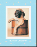 Chien dans un seau Reproduction transférée sur toile : par Rachael Hale