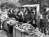 Illegal White Bread for Sale in Black Market Premium Photographic Print Illegal White Bread for Sale in Black Market Premium Photographic Print