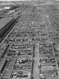 Aerial View of Pens Containing Beef Cattle at the Union Stockyards Lámina fotográfica Aerial View of Pens Containing Beef Cattle at the Union Stockyards Lámina fotográfica
