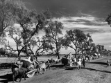 Convoy of Sikhs Migrating to East Punjab after the Division of India Premium Photographic Print Convoy of Sikhs Migrating to East Punjab after the Division of India Premium Photographic Print