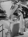 Paul Davidson Pours Powdered Milk into Mixing Vat for Mixing of Bread Dough, Paul Helms Bakeries Premium Photographic Print Paul Davidson Pours Powdered Milk into Mixing Vat for Mixing of Bread Dough, Paul Helms Bakeries Premium Photographic Print